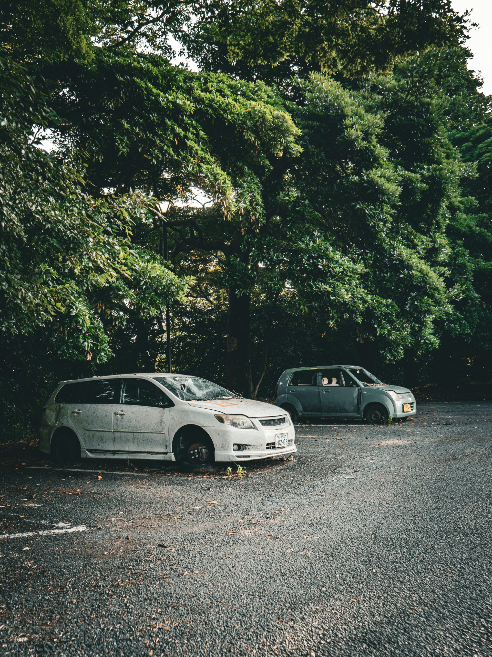 car scrap pick up